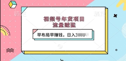 视频号年货项目，流量贼猛，早布局早挣钱，日入上k-热点1站 - 热点知汇专注网赚项目资源知识聚汇