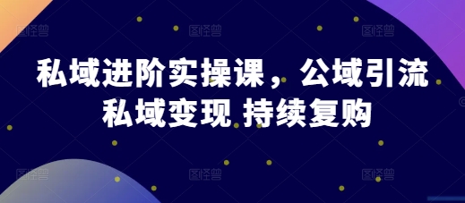 私域进阶实操课，公域引流 私域变现 持续复购-热点1站 - 热点知汇专注网赚项目资源知识聚汇